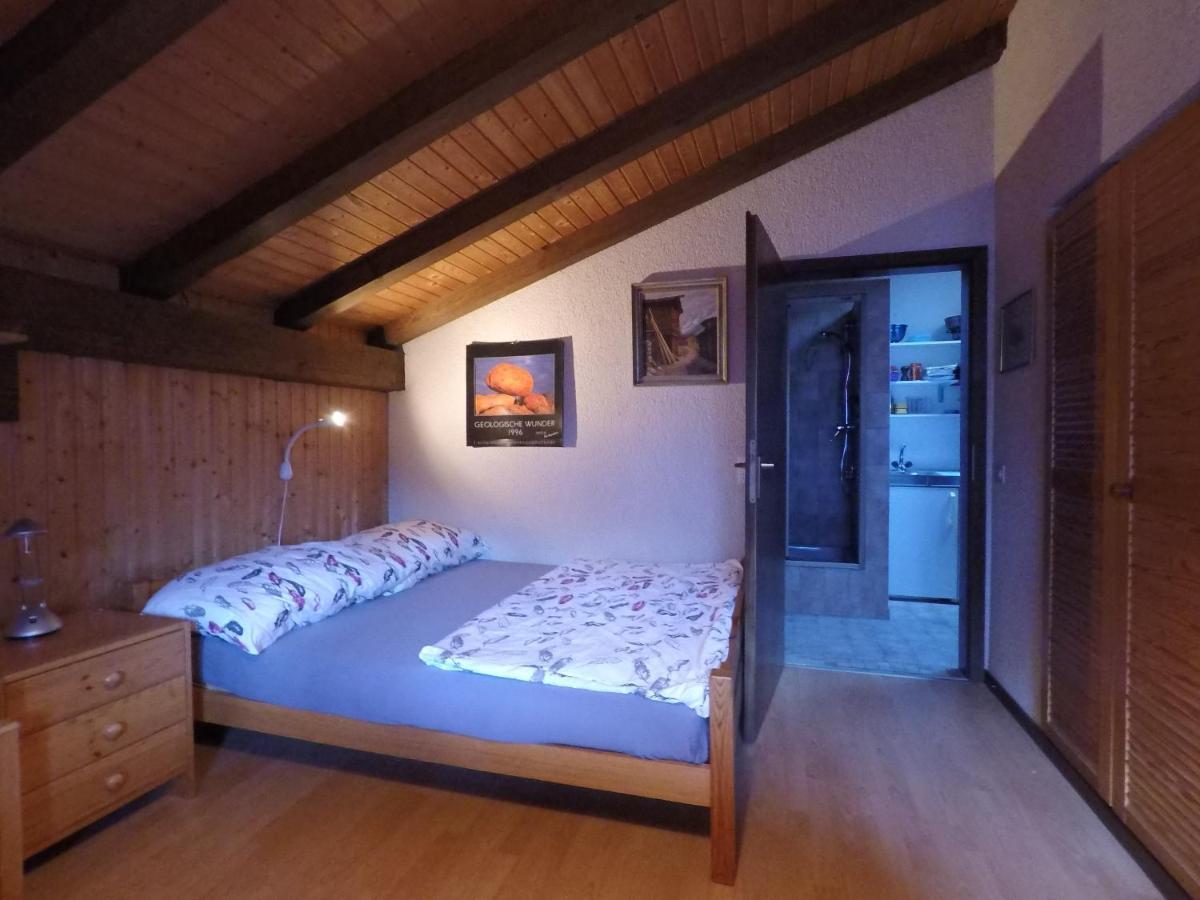 Ferienwohnung Interlaken/ويلدرسويل المظهر الخارجي الصورة