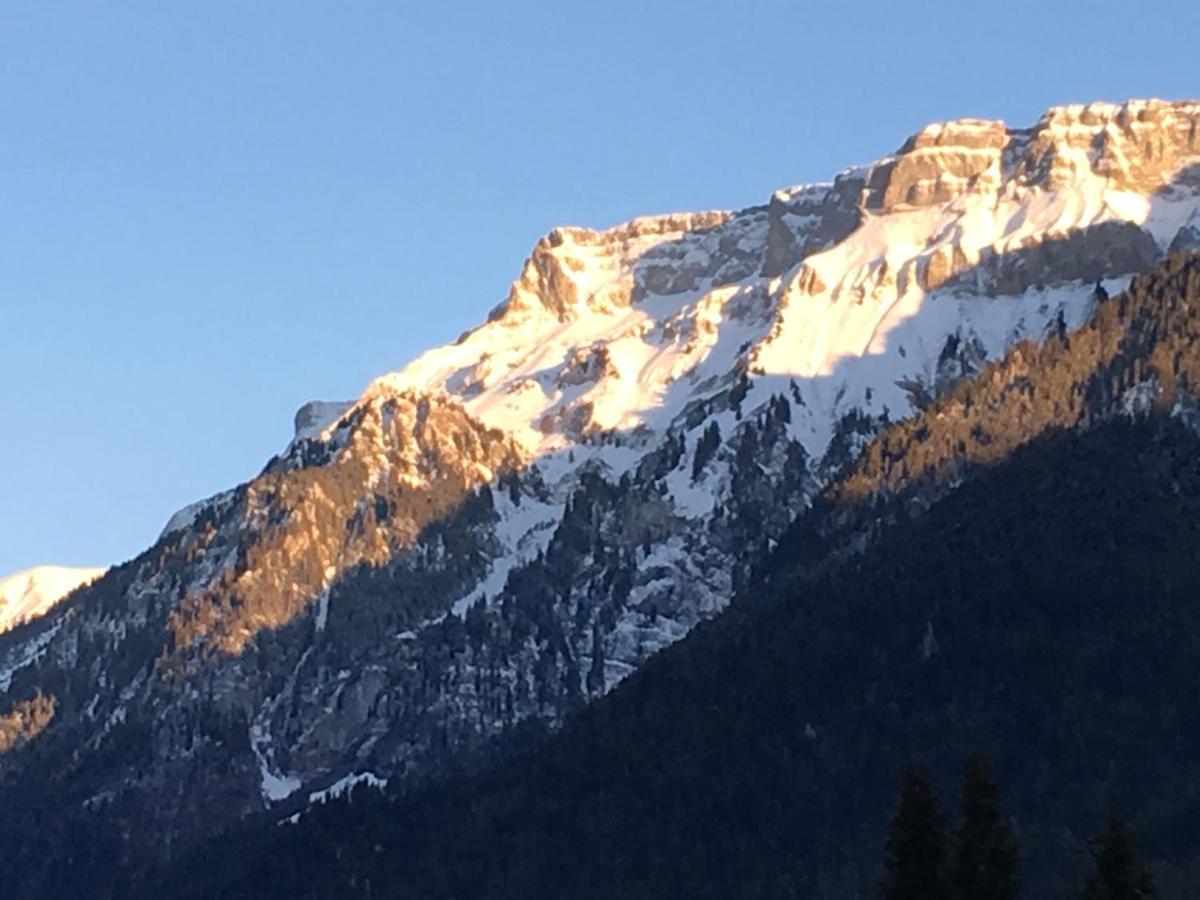 Ferienwohnung Interlaken/ويلدرسويل المظهر الخارجي الصورة
