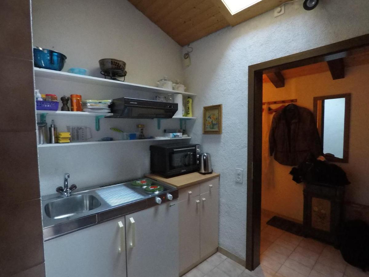 Ferienwohnung Interlaken/ويلدرسويل المظهر الخارجي الصورة